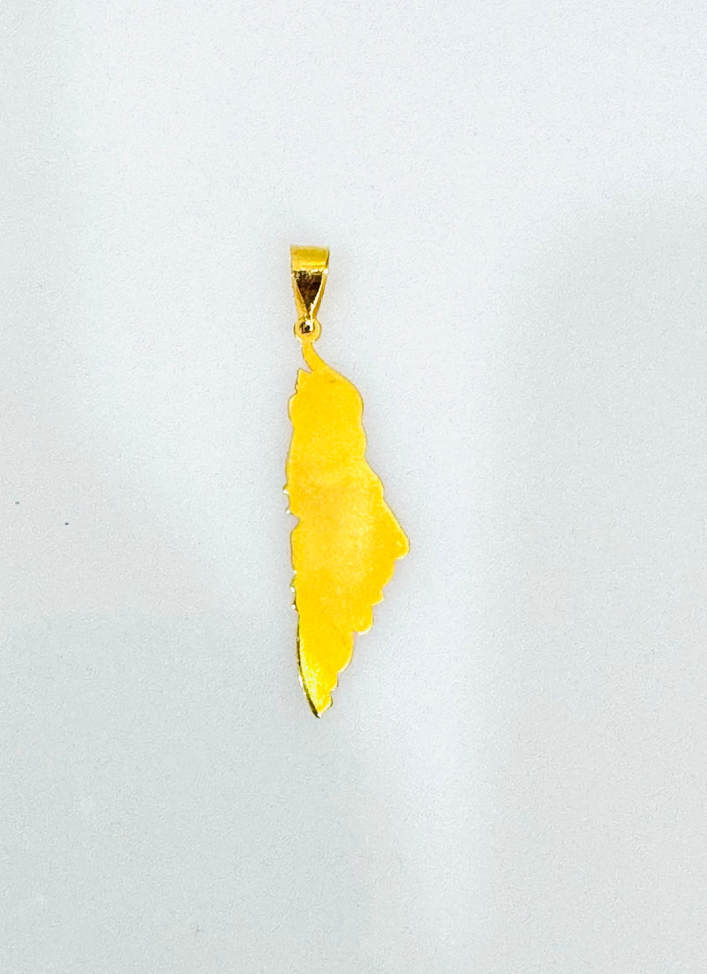 21k Gold Palestine Pendant
