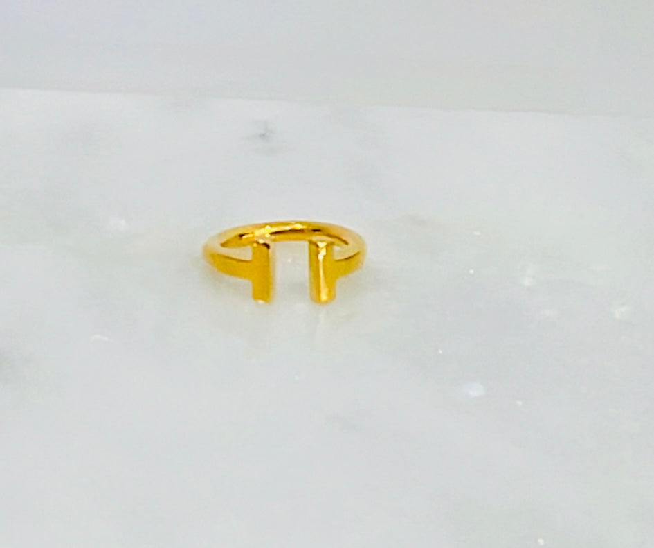 21k Gold T Ring